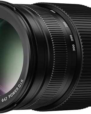Panasonic H-FSA100300E Lumix G Vario 100-300mm / F4.0-5.6 II/O.I.S